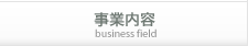 ���Ɠ��e�@business field
