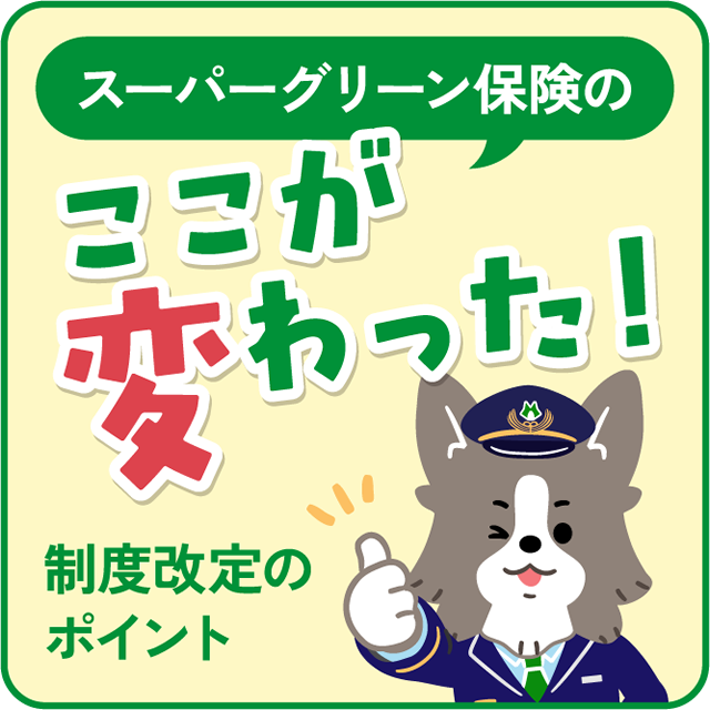 スーパーグリーン保険制度改定のポイントへ